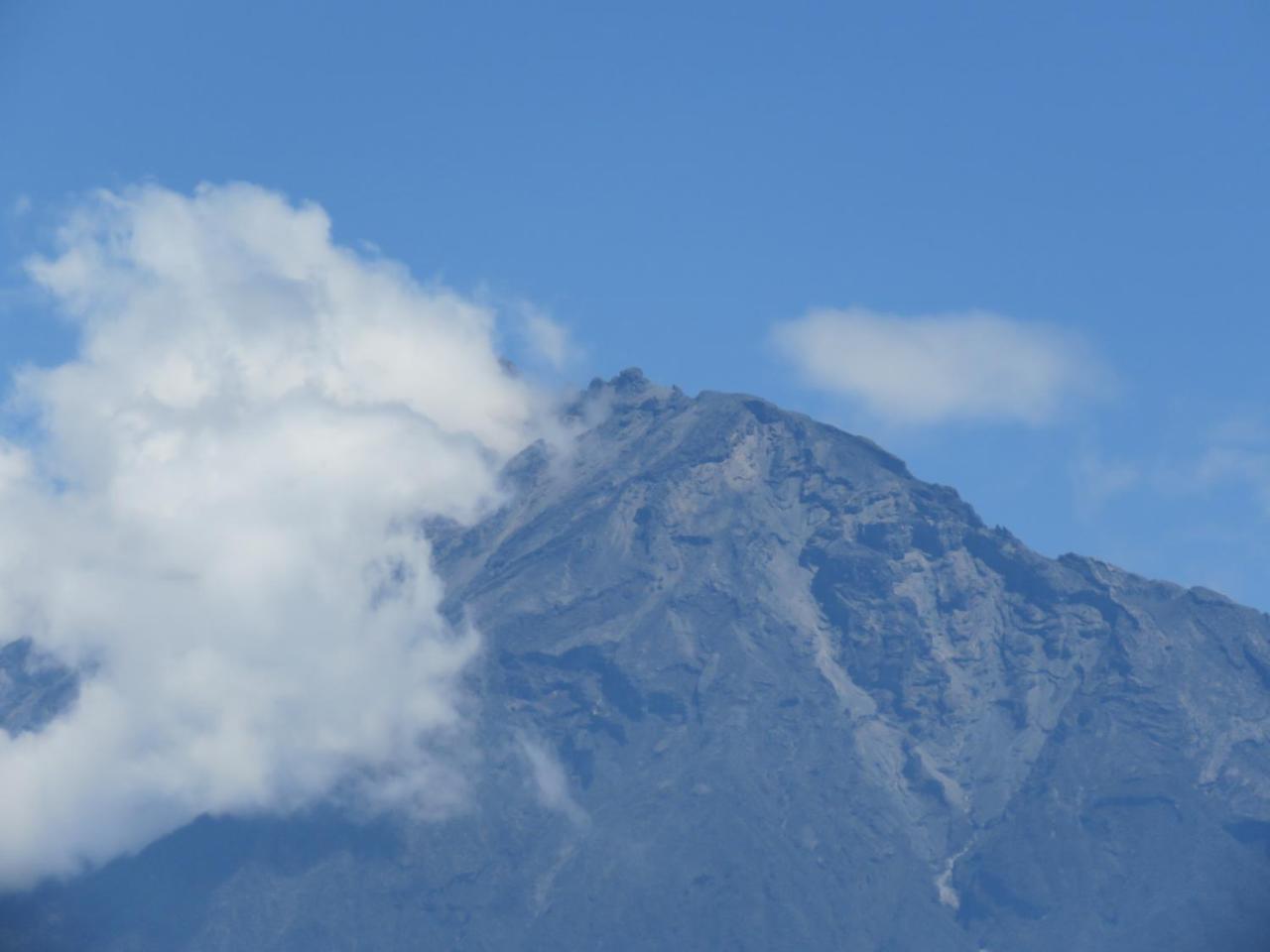Boulevard Inn Mt Meru Arusha Esterno foto